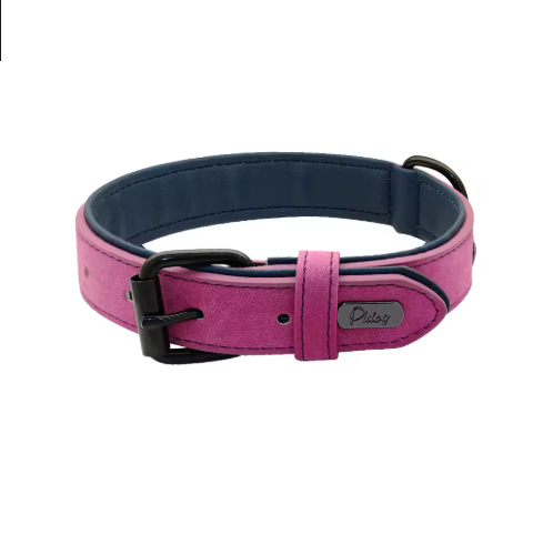 Collier chien | Résistant et Confortable