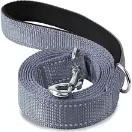 Laisse pour chien | Robuste et Confortable