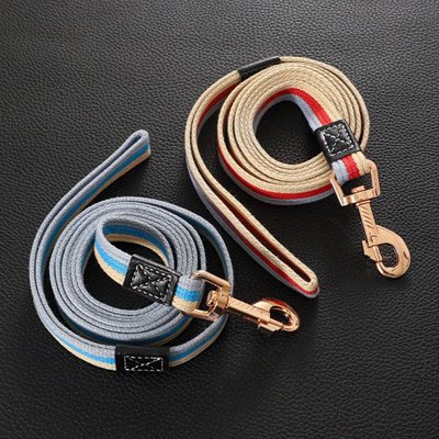 Laisse pour Chien Combinaison de cuir véritable et de textile tissé résistant