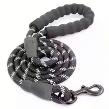 Laisse pour Chien | Résistante et Confortable