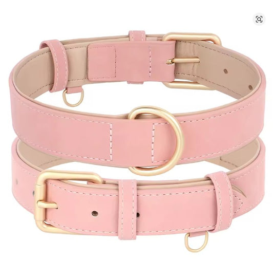 Collier chien | Confort Ajustable