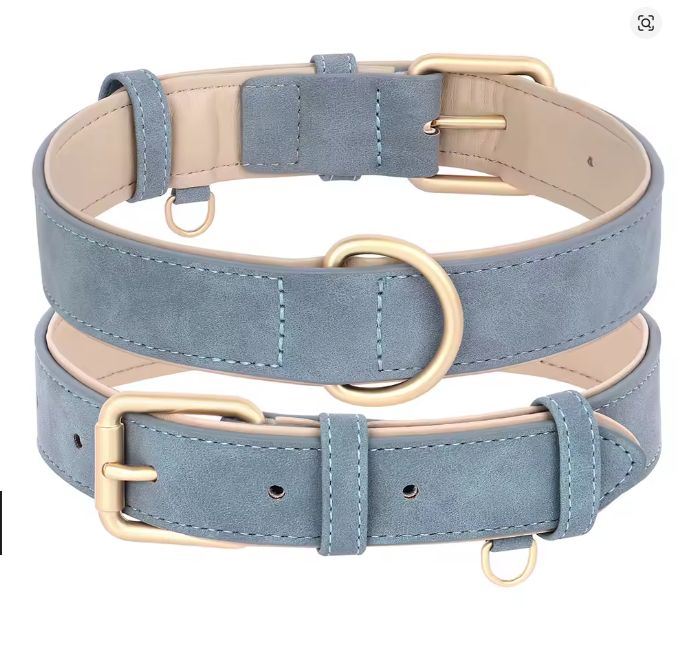 Collier chien | Confort Ajustable