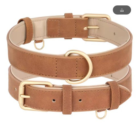 Collier chien | Confort Ajustable
