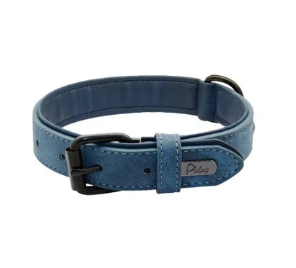 Collier chien | Résistant et Confortable
