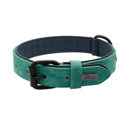 Collier chien | Résistant et Confortable
