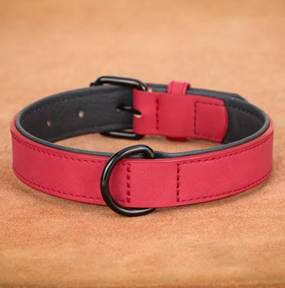 Collier chien | Résistant et Confortable
