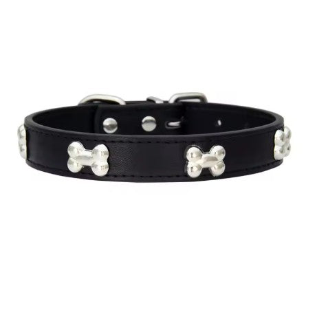 Collier pour chien | Résistant et Confortable