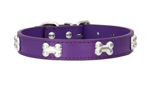Collier pour chien | Résistant et Confortable