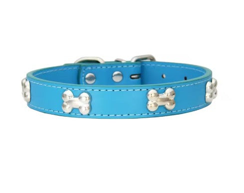 Collier pour chien | Résistant et Confortable