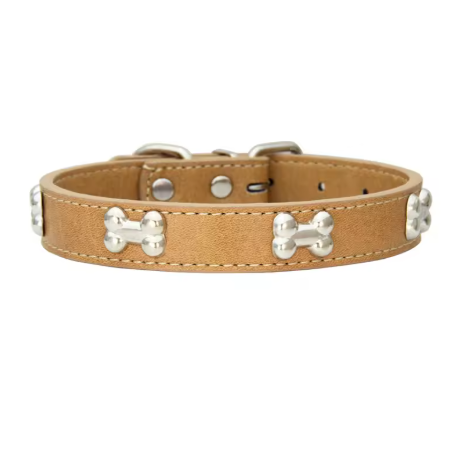 Collier pour chien | Résistant et Confortable