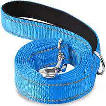 Laisse pour chien | Robuste et Confortable