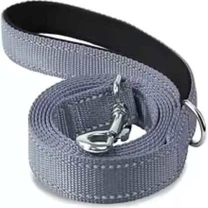 Laisse pour chien | Robuste et Confortable