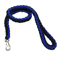 Laisse pour Chien | Premium Confort