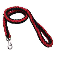 Laisse pour Chien | Premium Confort