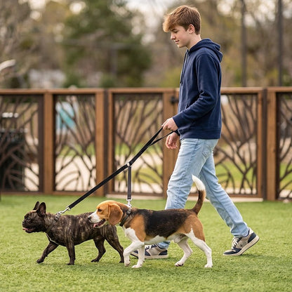 Accouple chien​ jeune homme promenant son boer et son beagle au parc avec l'accouple noir
