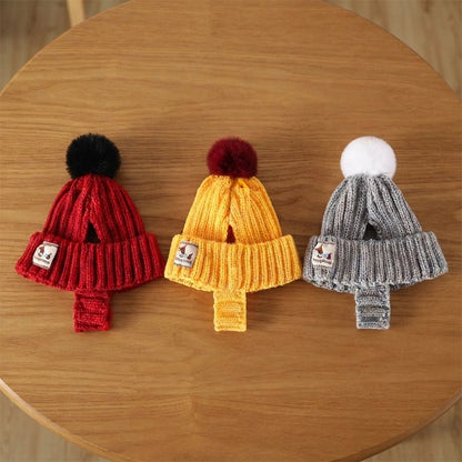 Bonnet pour chien​ démonstration des trois couleurs et grandeus de bonnet sur une table 