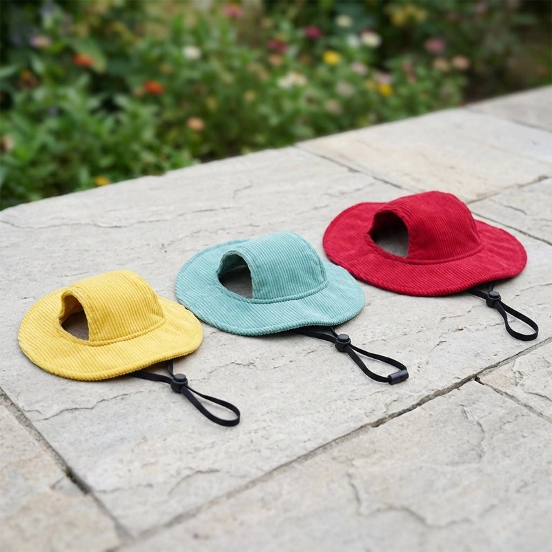Casquette chien​ démonstration des trois grandeurs et couleus de casquette