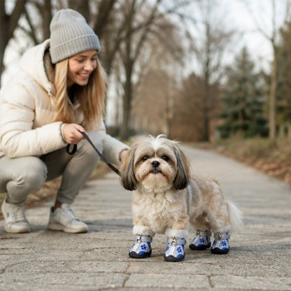 Chaussure pour Chien shih tzu assis  au centre ville avec ses chaussures bleu 