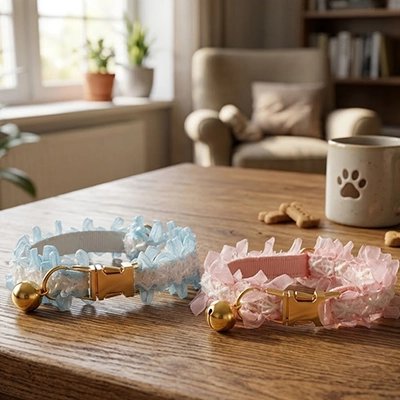 Collier Chien Démonstration des deux collier sur une table de cuisine