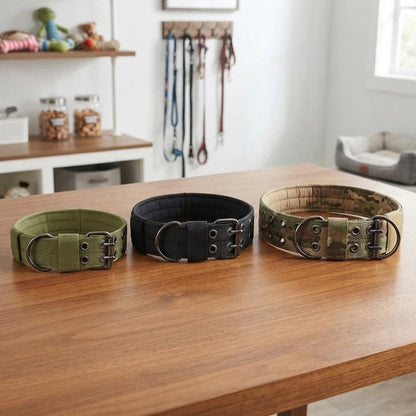 Collier Chien démonstration des trois couleur de collier noir ,camouflage et vert olive