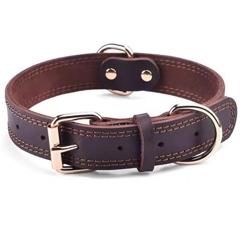 Collier chien petit brun