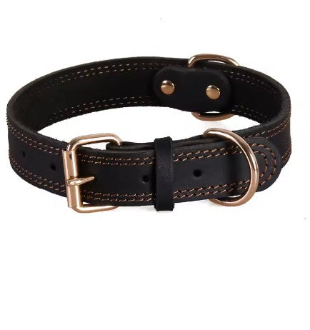 Collier chien petit noir