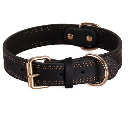 Collier chien petit noir