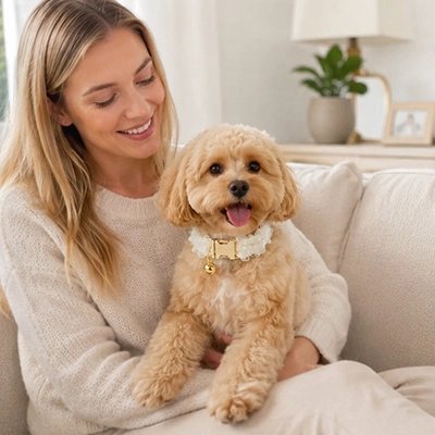 Collier Chien poméranien en promenade avec son beau collier noir