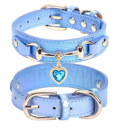 Collier pour Chien bleu