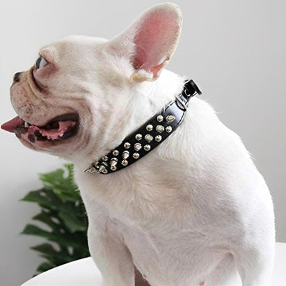 Collier pour chien démonstration du collier sur un pog 