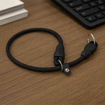 Collier pour chien Design circulaire a pinsement qui facilite l'installation du collier