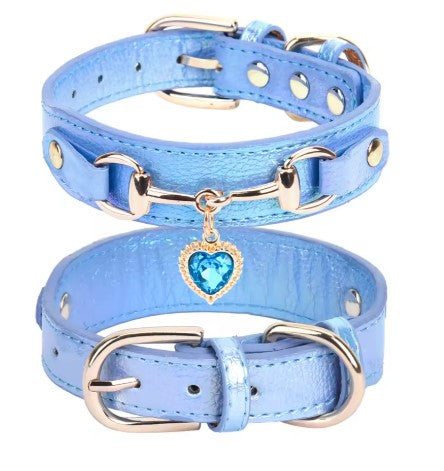 Collier pour Chien moyen collier bleu
