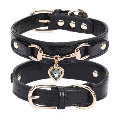 Collier pour Chien noir
