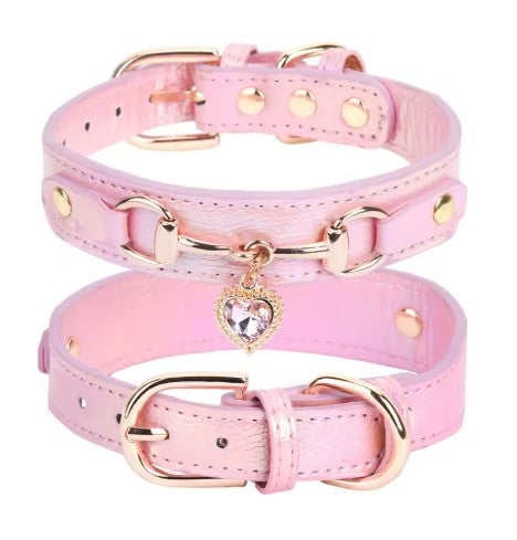 Collier pour Chien rose