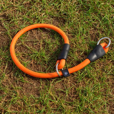 Collier pour chien Systeme a pinsement qui évite que l'animal tire trop lors de la premenade