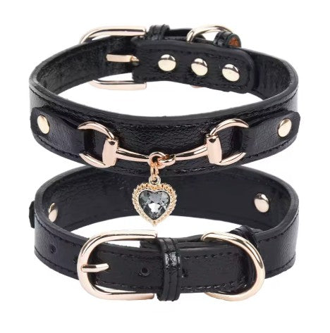 Collier pour Chien tpetit collier noir