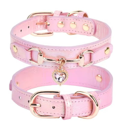 Collier pour Chien tpetit collier rose