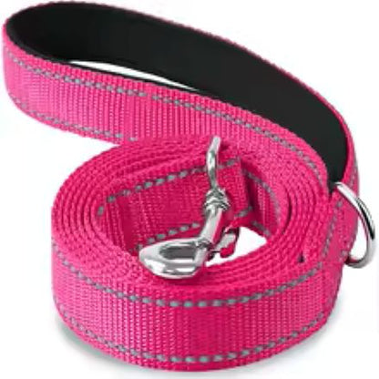 Laisse pour chien | Robuste et Confortable