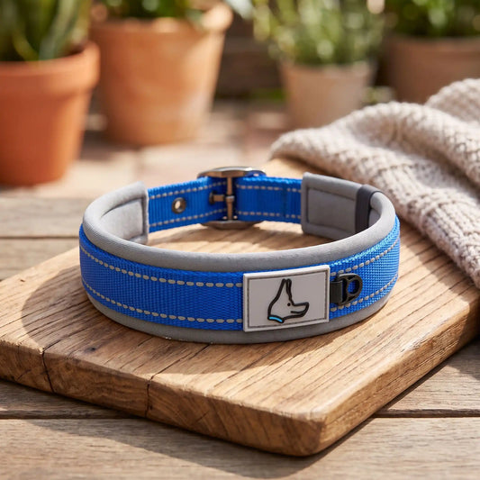 Collier chien | Confort Sécurisé