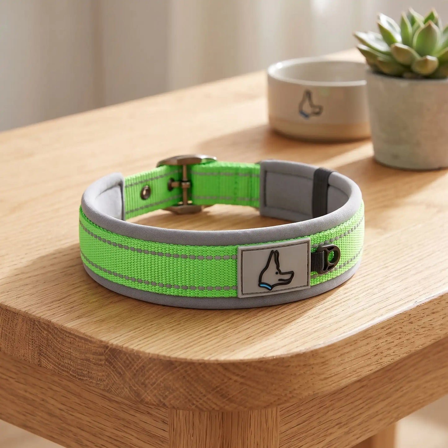 Collier chien | Confort Sécurisé