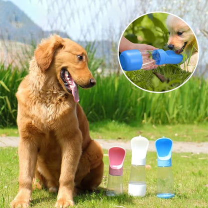 Gourde chien golden retriver avec les bouteille rose,blanche et bleu dans un parc 