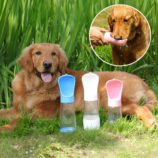 Gourde chien  golden retriver avec les bouteille rose,blanche et bleu dans un parc 