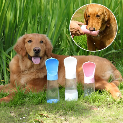 Gourde chien  golden retriver avec les bouteille rose,blanche et bleu dans un parc 