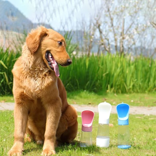 Gourde chien golden retriver avec les bouteille rose,blanche et bleu dans un parc 