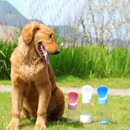 Gourde chien golden retriver avec les bouteille rose,blanche et bleu dans un parc 