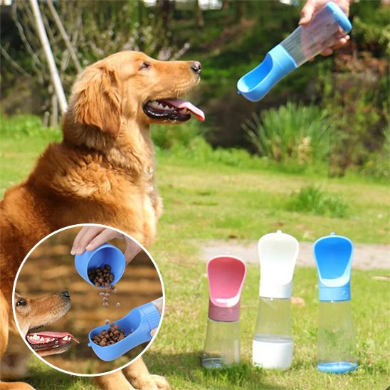 Gourde chien golden retriver avec les bouteille rose,blanche et bleu dans un parc