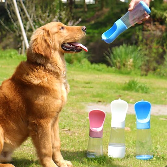 Gourde chien golden retriver avec les bouteille rose,blanche et bleu dans un parc