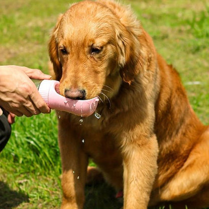 Gourde chien golden retriver s'abreuvant avec sa gourde blanche dans un parc