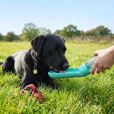 Gourde Chien labrador noir s'abreuvant avec la bouteille dans un parc 