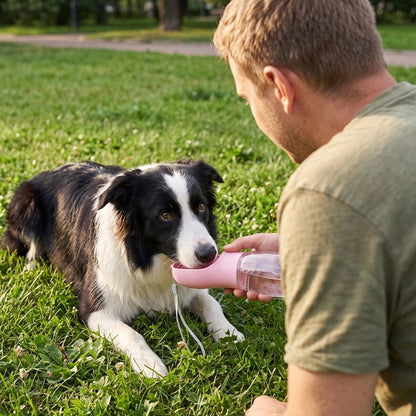 Gourde pour Chien chien de berger s'abreuvant avec sa gourde rose 